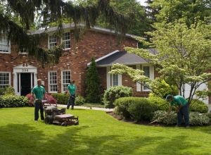 Comprehensive Lawn Maintenance