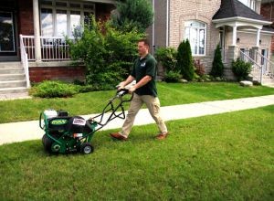 Lawn Aeration
