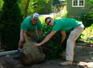 Garden Design and Planting