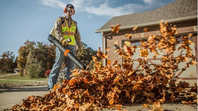 Seasonal Clean-Up Solutions